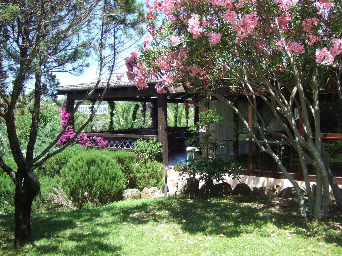 La Jacia Hotel & Resort Baja Sardinia Eksteriør billede